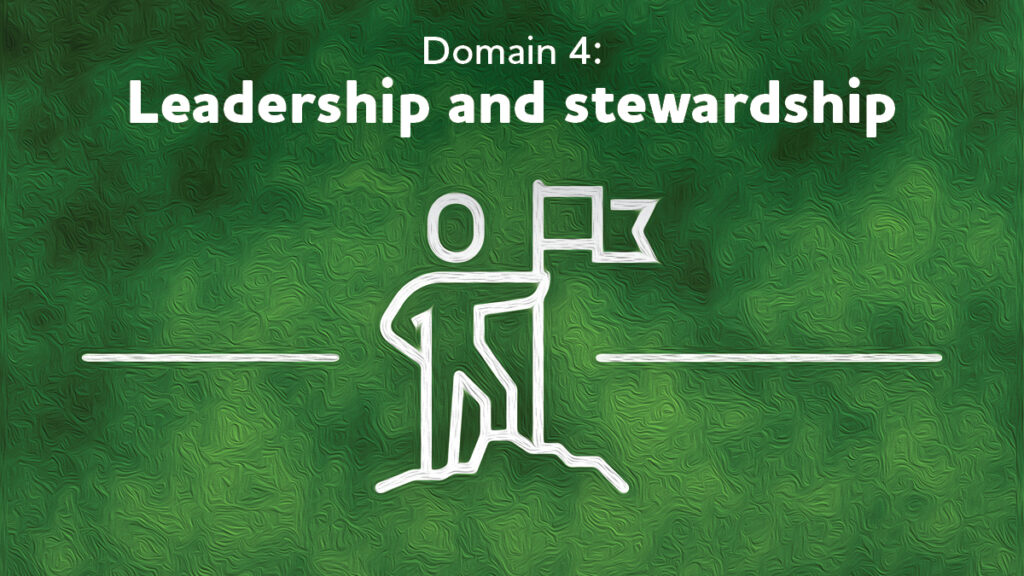 Domain 4 - Leadership and stewardship with icon
